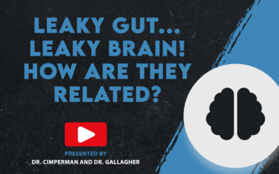 Leaky Gut… Leaky Brain! How Are They Related?